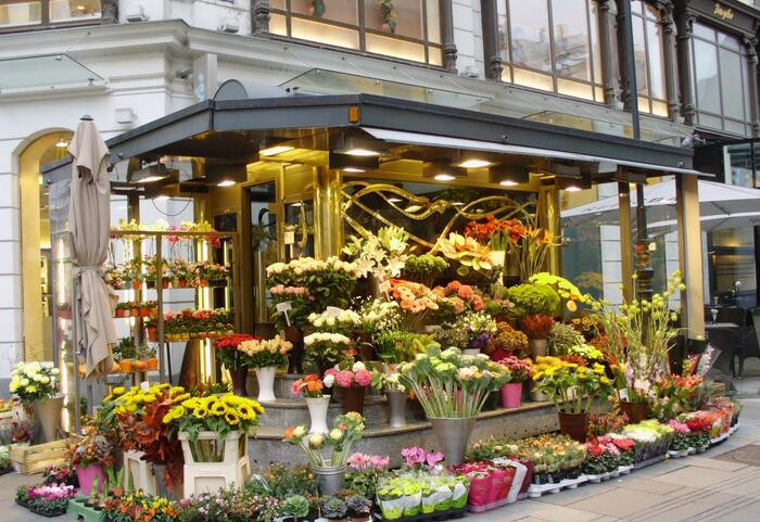 保定鲜花店