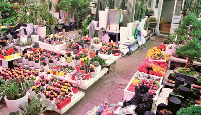 保定鲜花店