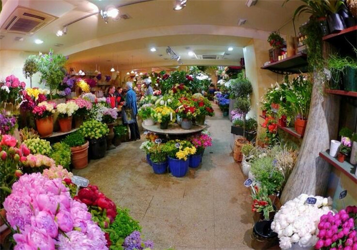 保定鲜花店