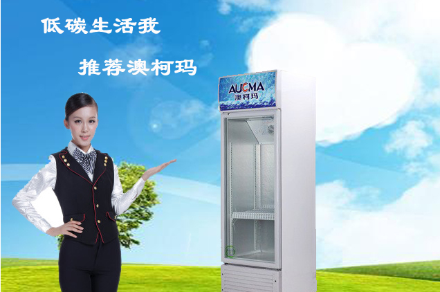 冰柜哪个牌子质量好