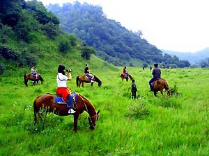 宝鸡关山牧场