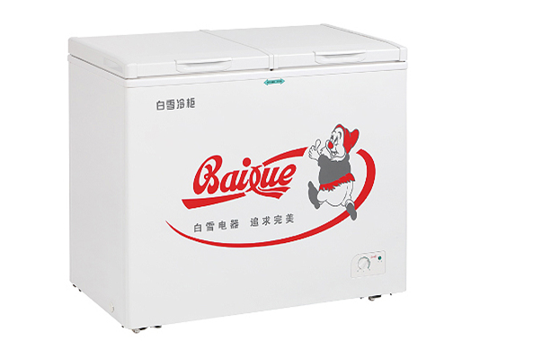 冰柜什么牌子的好