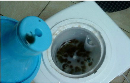 清洗饮水机的方法 清洗饮水机的方法