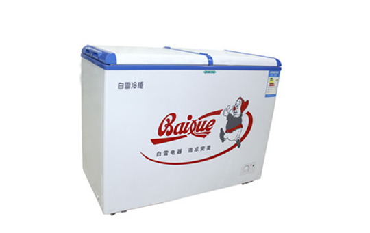 冰柜什么牌子的好