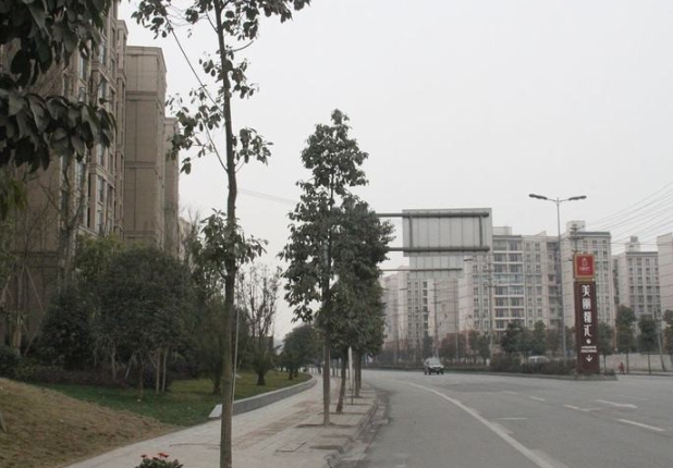 假日时光