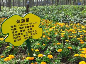 成都植物园