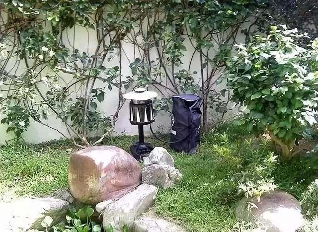 一楼带庭院的户型，如何驱蚊防虫？