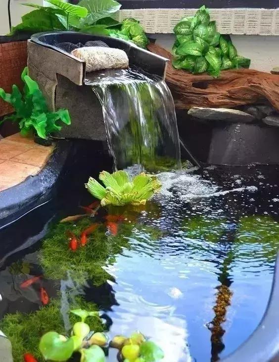 一楼带庭院的户型，如何驱蚊防虫？