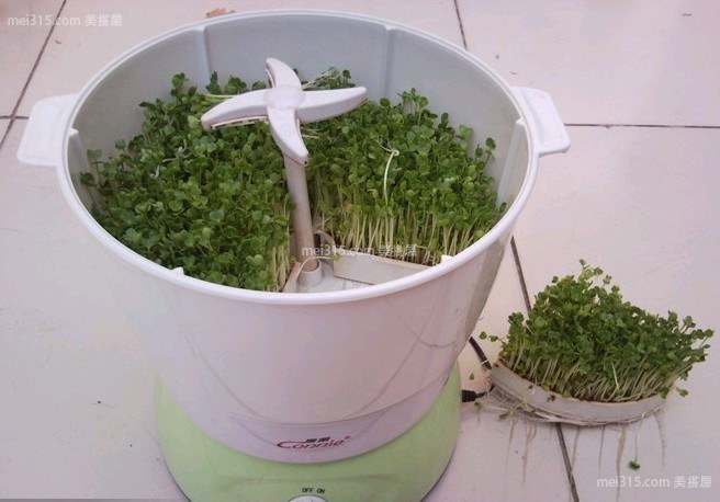 家用豆芽机如何使用 家用豆芽机使用方法