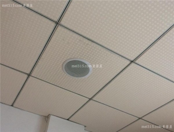 吸顶音响用什么品牌好 家装吸顶音响品牌