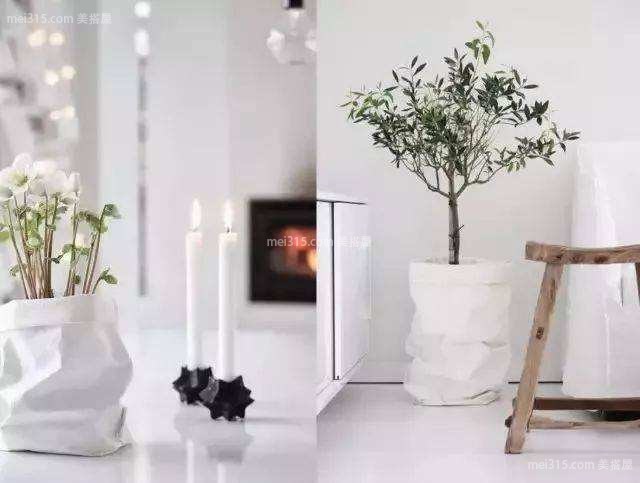 北欧风格适合摆放什么植物?哪种植物跟北欧风搭配?