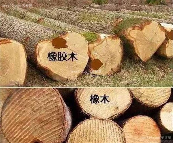 橡木和橡胶木哪个好 橡木和橡胶木鉴别