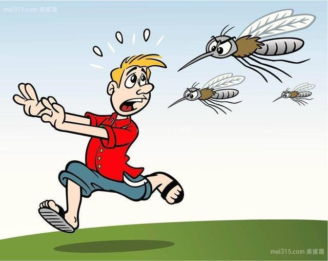家里蚊子多怎么办？有效的驱蚊方法有哪些？