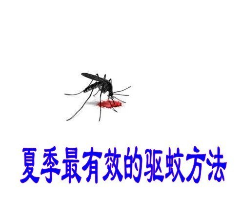 家里蚊子多怎么办？有效的驱蚊方法有哪些？