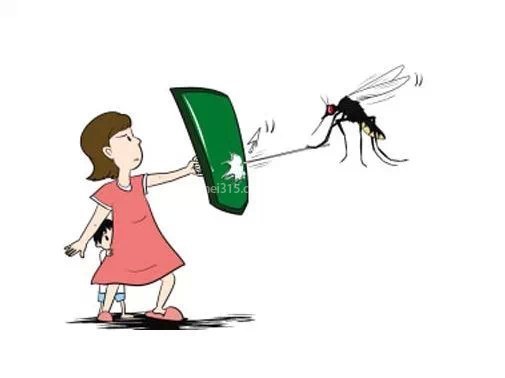 家里蚊子多怎么办？有效的驱蚊方法有哪些？