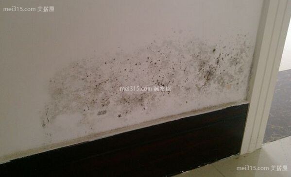 墙壁潮湿发霉怎么办?墙壁发霉如何预防