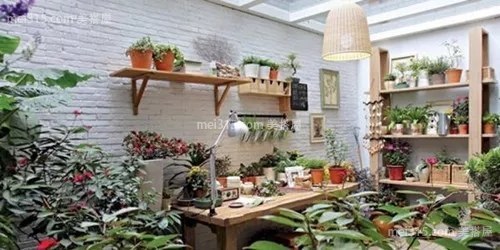 阳台种花问题百出？种植花卉先搞清这些养护技巧