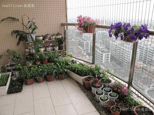 阳台花园种什么花好?哪些花适合种在阳台花园?