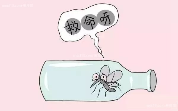 卧室有蚊子怎么办 卧室放什么可以驱蚊子