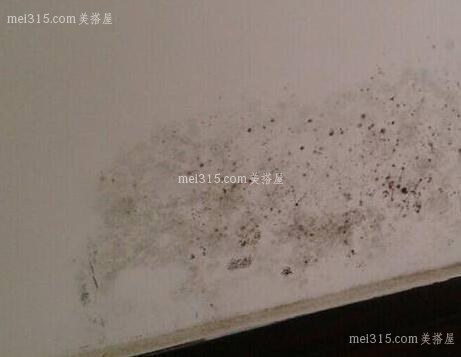 墙面发霉了怎么处理