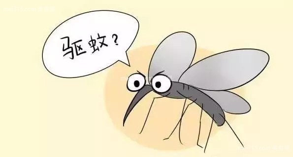 卧室有蚊子怎么办 卧室放什么可以驱蚊子