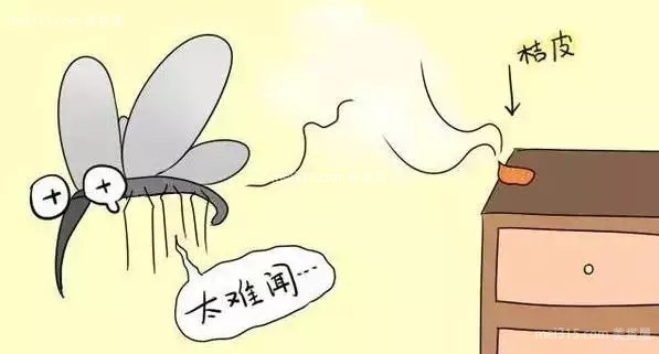 卧室有蚊子怎么办 卧室放什么可以驱蚊子