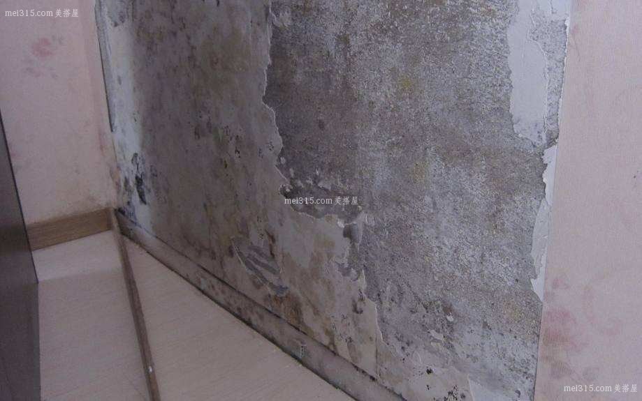 墙面泛碱该怎么处理 毛坯房墙面泛碱怎么处理
