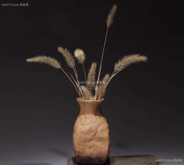 室内绿化植物的选择
